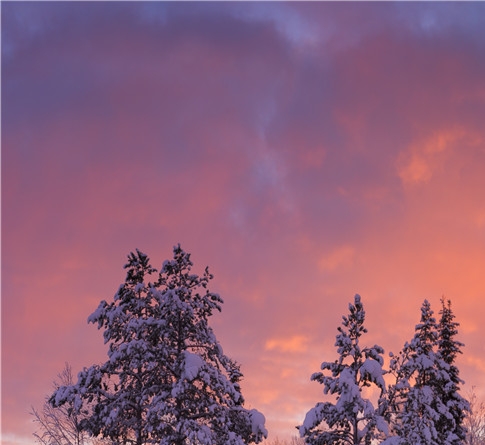 粉象生活推广人