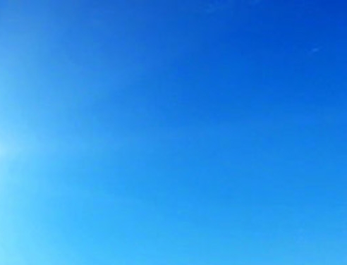 粉象生活真实收入