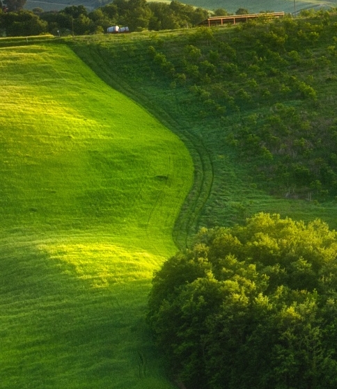 粉象生活靠什么赚钱