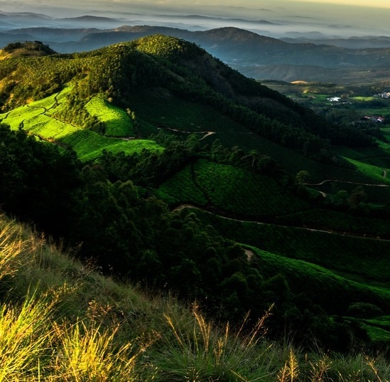 粉象生活和抖音的区别
