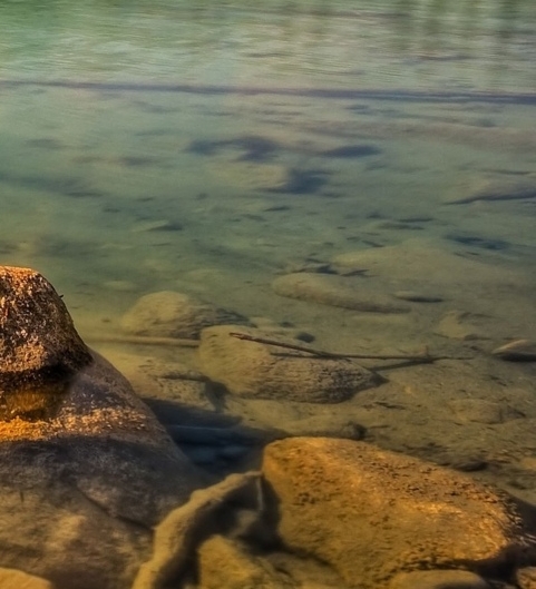粉象生活下载app