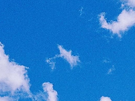 粉象生活下载app