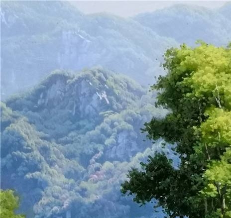粉象生活里怎么分享给好友