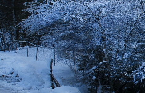 粉象生活花钱吗