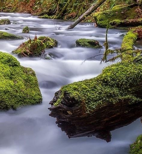 粉象生活商家版邀请码