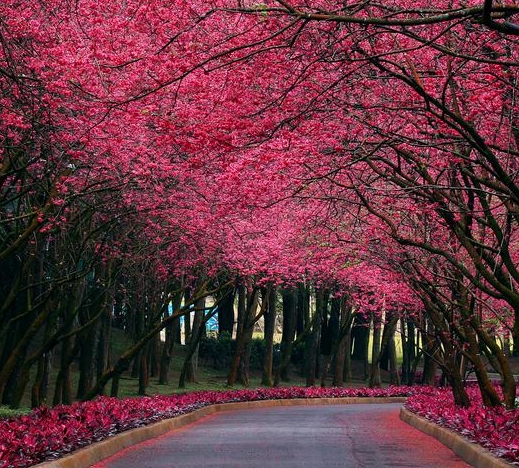 粉象生活为什么要绑定微信