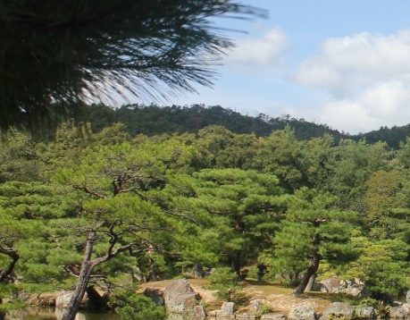 粉象生活激活码一定要用别人的吗