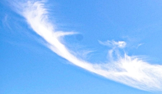 粉象生活发什么视频好