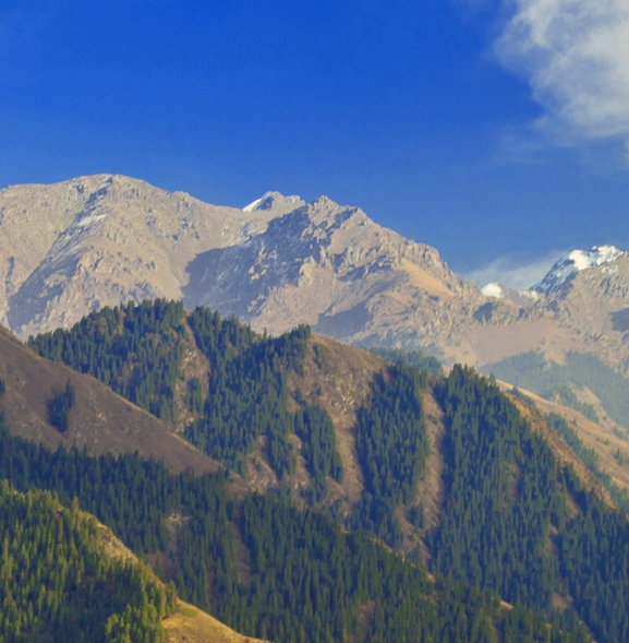 粉象生活推广可靠吗