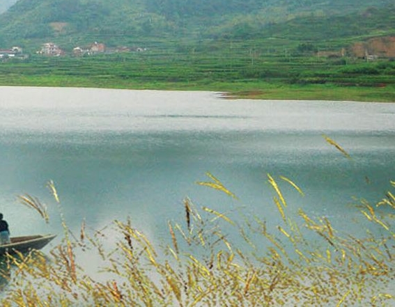 粉象生活不能用