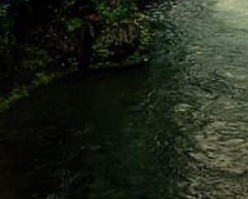 粉象生活可以赚钱吗