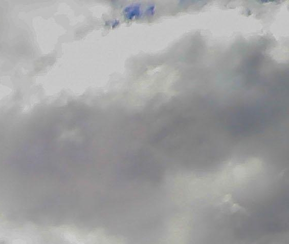 粉象生活是怎么赚钱的