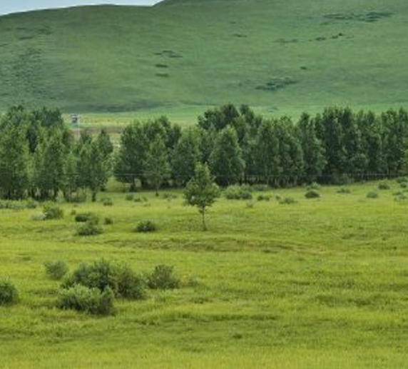 粉象生活可以赚钱吗