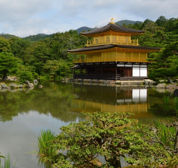 粉象生活下载app