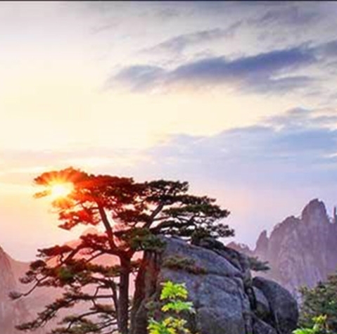 生活中用什么延时