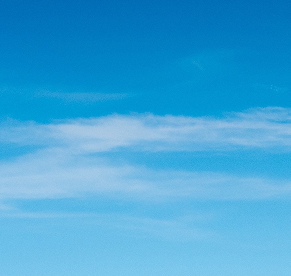 粉象生活下载app