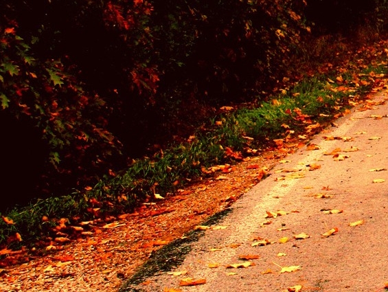 粉象生活可以赚钱吗