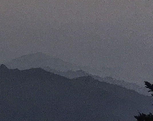 上海高端粉象生活怎么赚钱