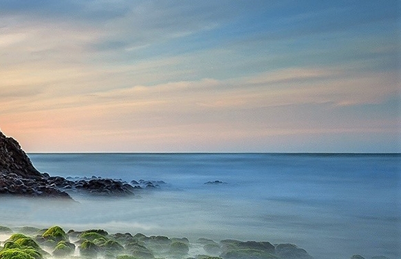 粉象生活下载app