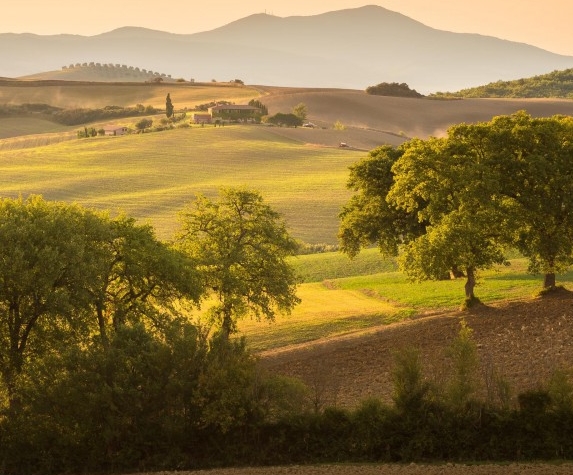粉象生活下载app