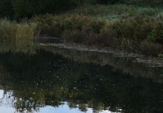 粉象生活下载app