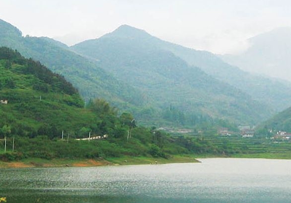 粉丝生活山东运营店