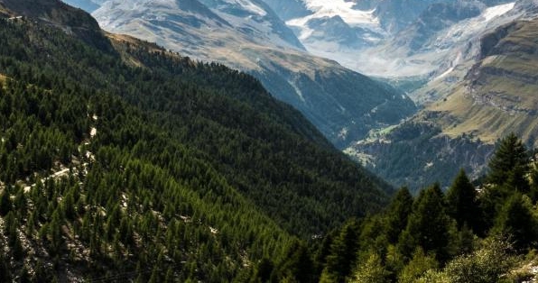 粉象生活是怎么赚钱的