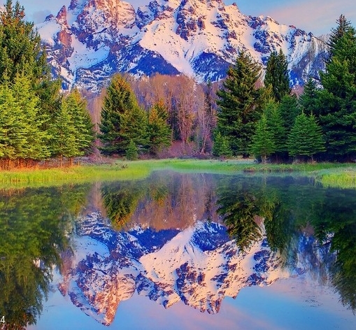 粉丝生活加盟费曝光