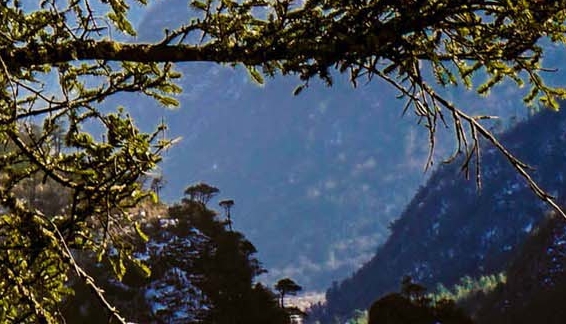 粉象生活官网首页