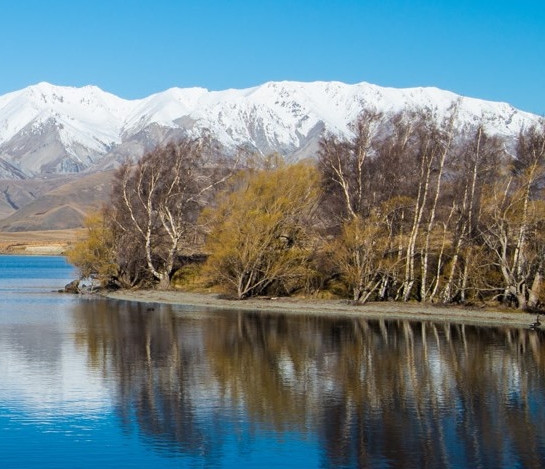 粉象生活是怎么赚钱的