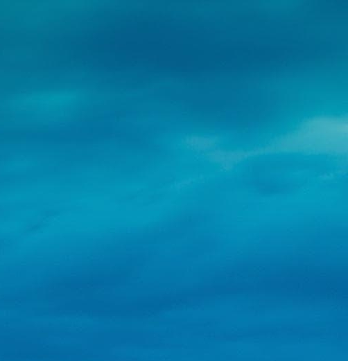 粉象生活怎么找优惠券