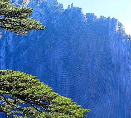 粉象生活下载安全吗