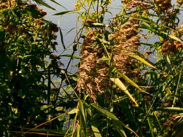 粉象生活怎么发现优惠券
