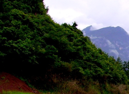 粉象生活邀请码