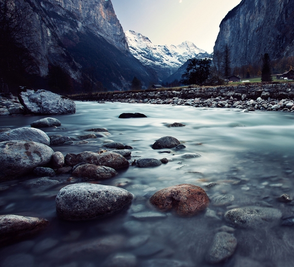 粉象生活下载app