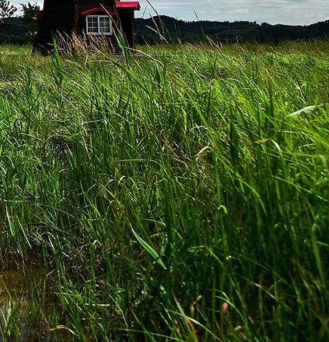 粉象生活下载app