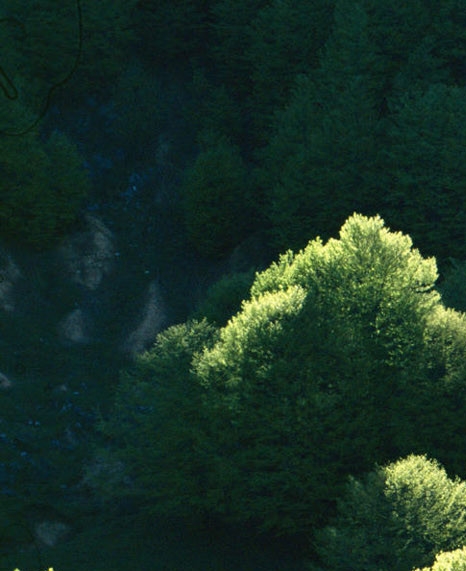 粉象生活是什么平台