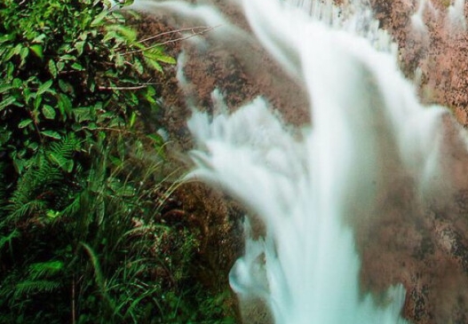 粉象生活看完视频截图