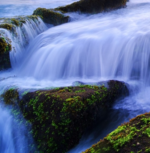 粉象生活冻结佣金
