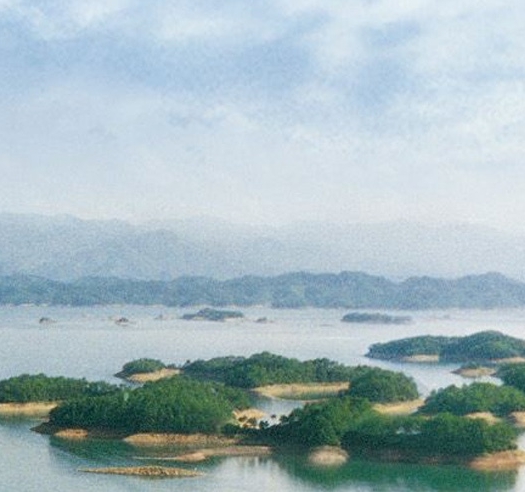 粉象生活是怎么赚钱的