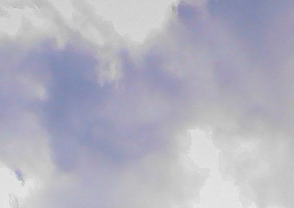 粉象生活怎么用淘宝