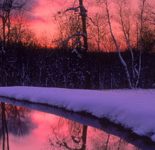 粉象生活下载app