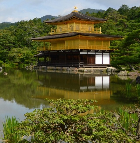 粉象生活天一团队
