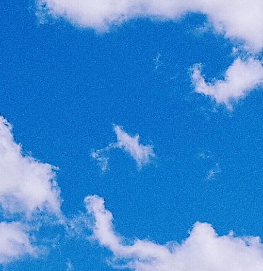 新手粉象生活怎么赚钱
