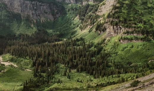 粉象生活邀请码