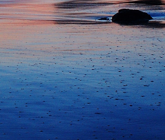 粉象生活直播功能