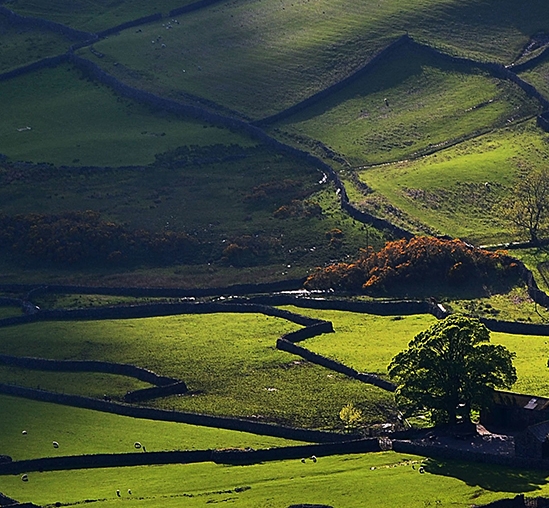 粉象生活任务界面