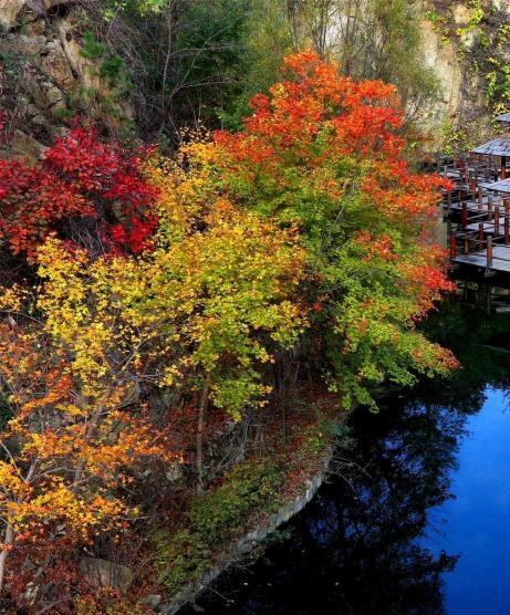 粉象生活邀请码
