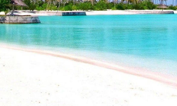 粉象生活怎么赚积分