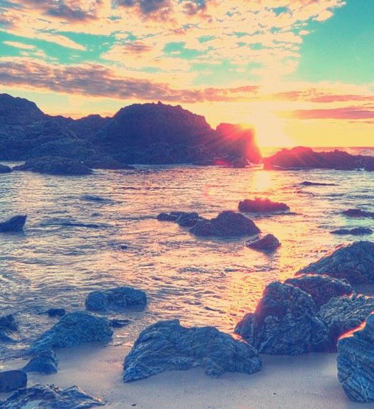 粉象生活下载app